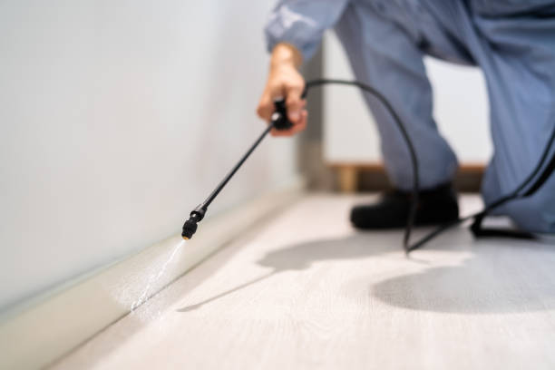 Rodent Entry Point Assessment in Farmers Branch