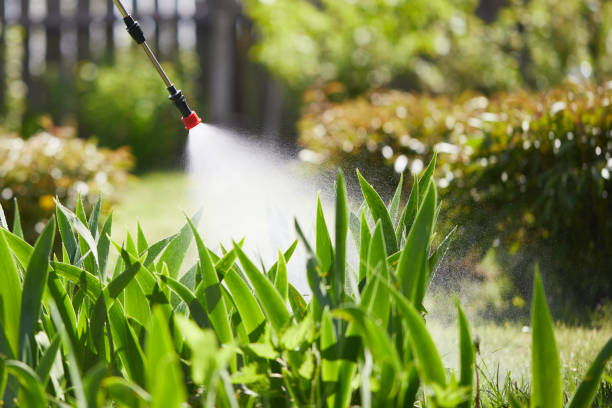 Tamper-Resistant Bait Stations for Rodents in Farmers Branch