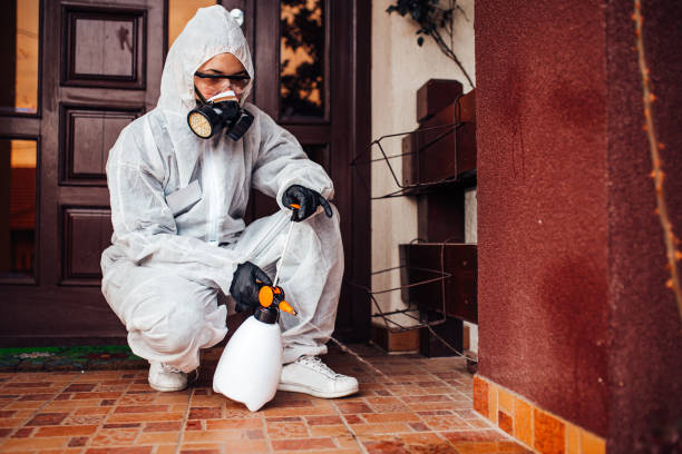 Attic and Crawl Space Rodent Treatment in Farmers Branch